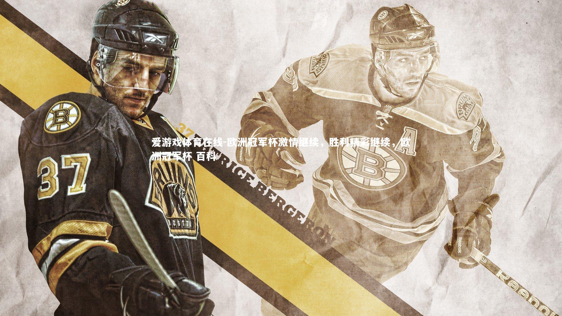 欧洲冠军杯激情继续,胜利精彩继续,欧洲冠军杯 百科