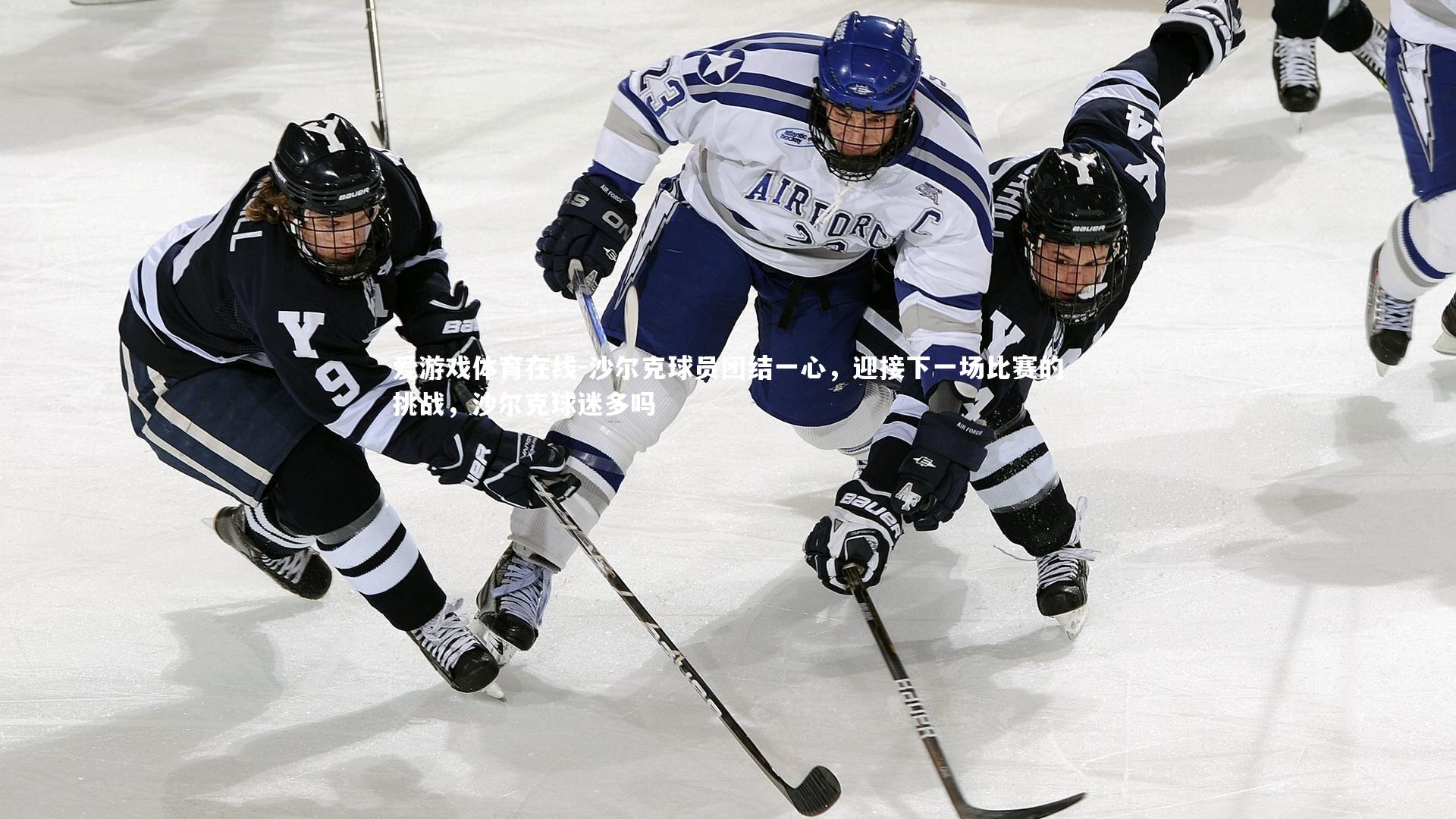 沙尔克球员团结一心，迎接下一场比赛的挑战，沙尔克球迷多吗